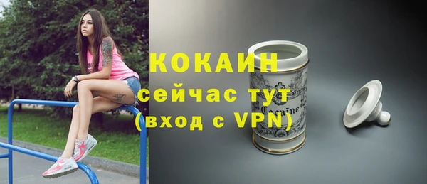 шишки Нефтегорск