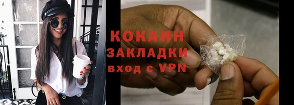 шишки Нефтегорск