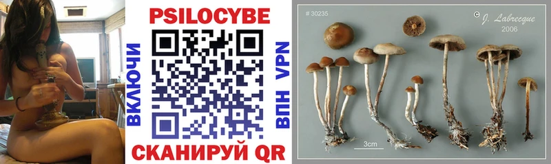 Галлюциногенные грибы GOLDEN TEACHER  Купить где  Усинск 